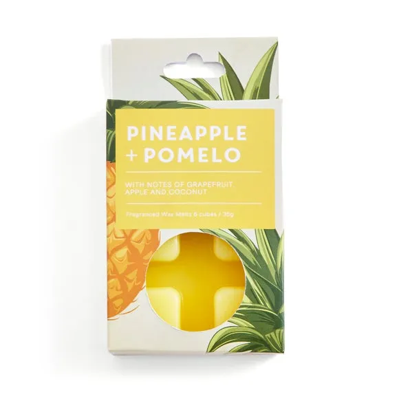 Set of 6 Pineapple & Pomelo Wax Melts 3