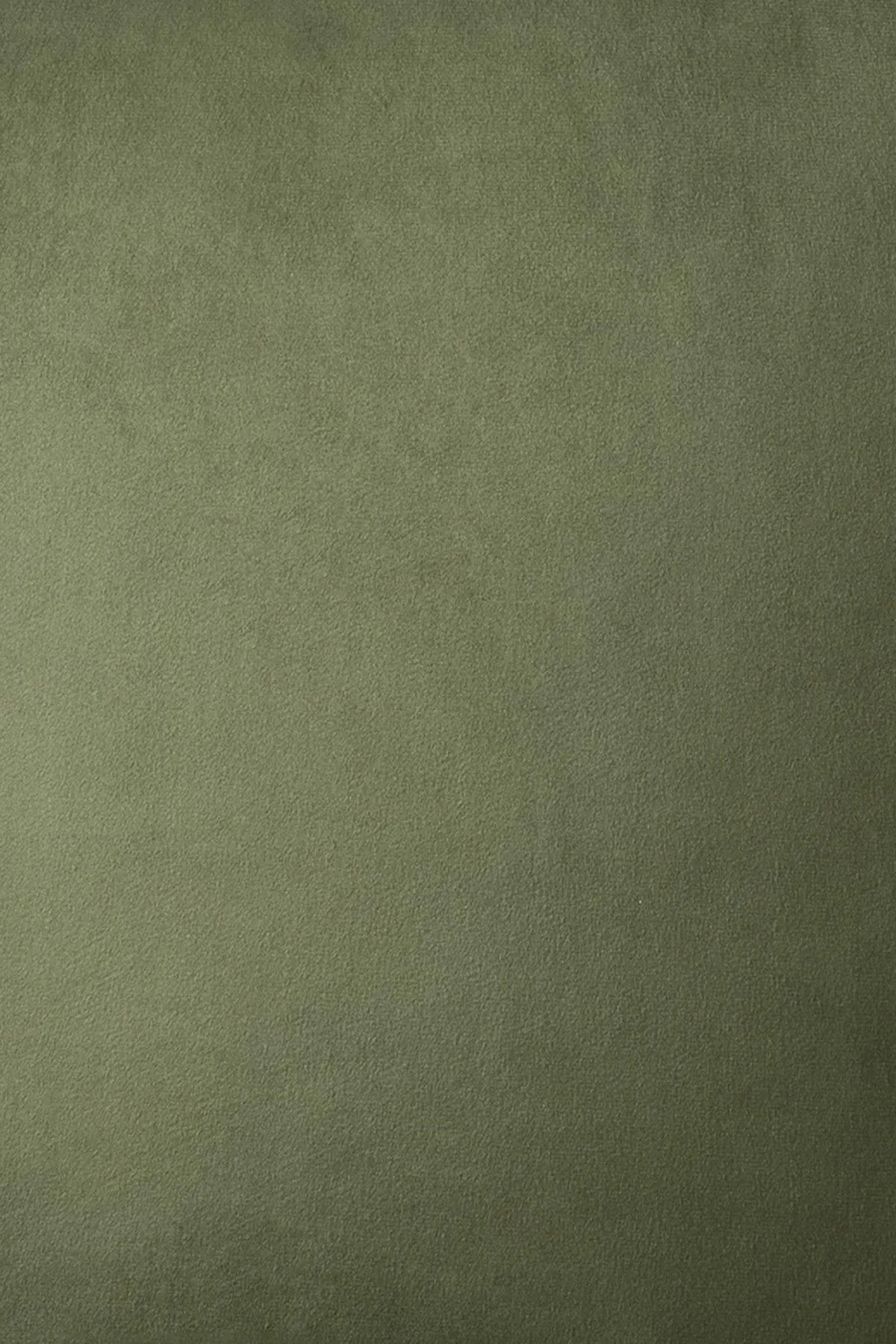 Appletree 'Harlan' Velvet Filled Cushion in Olive 4