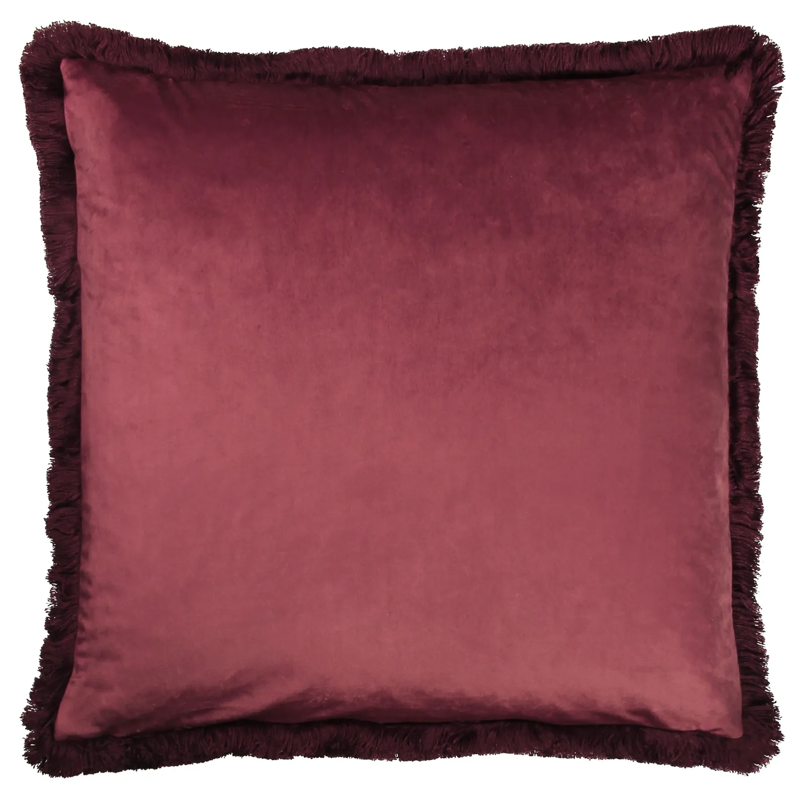 Paoletti Cahala Tropical Cushion in Purple 2