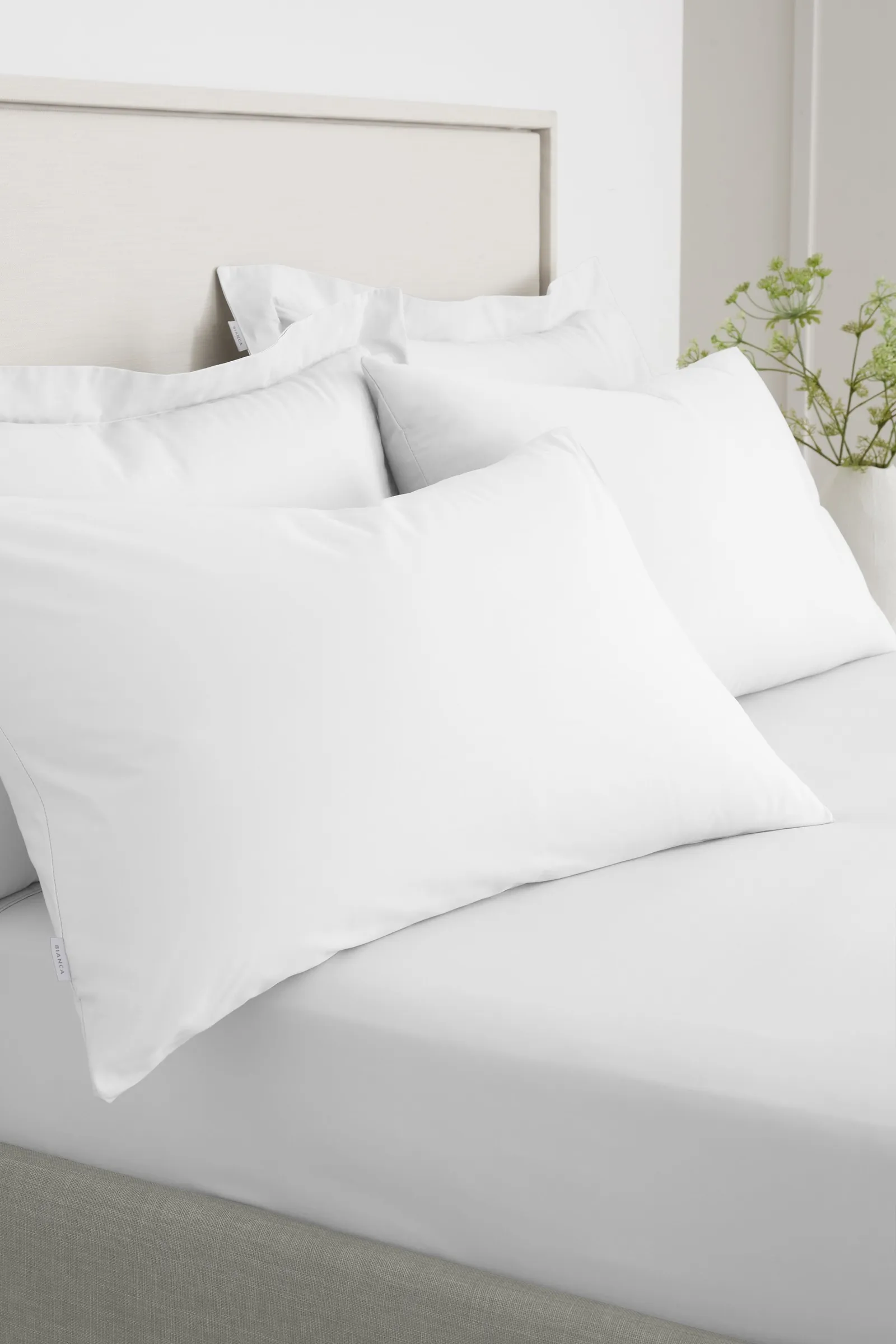 Bianca '200 Thread Count Cotton Percale' Standard Pillowcase Pair in White 1
