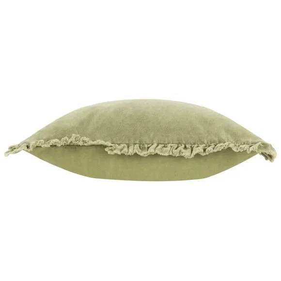 Bertie Velvet Square Cushion 3