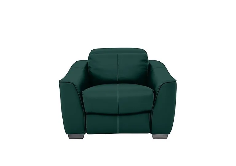 Xavier Leather Armchair - BV Lake Green