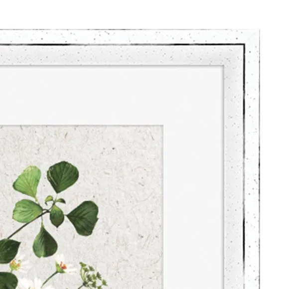 The Art Group Vase I Framed Print 3
