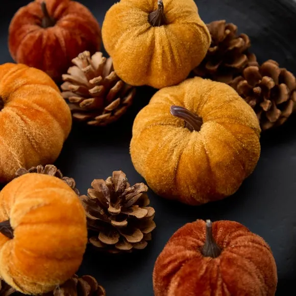 Decorative Mixed Pumpkins & Pinecones 2