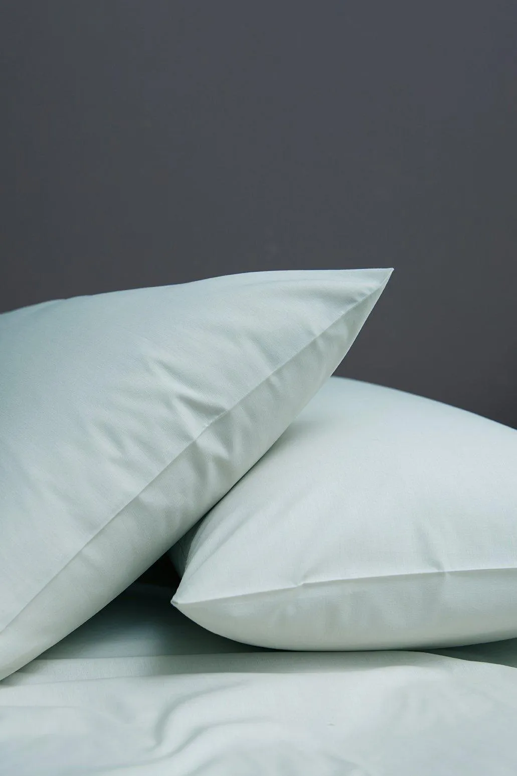 200 Thread Count Standard Pillowcase Pair