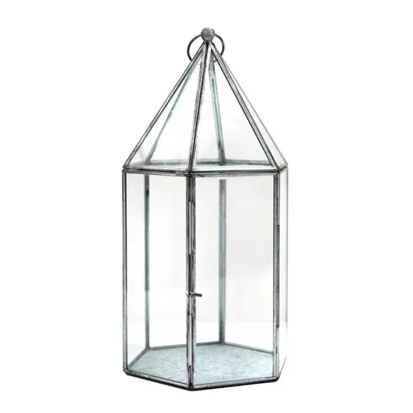 Glass House Terrarium 1